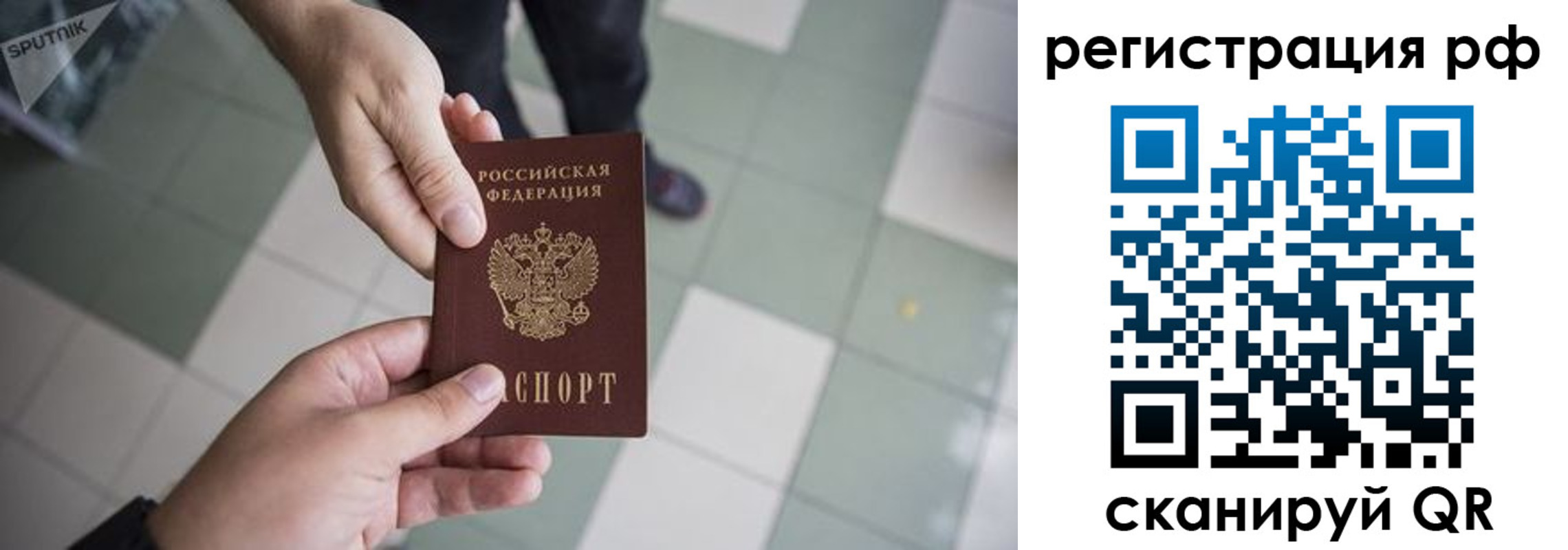прописка гарантия в Купино